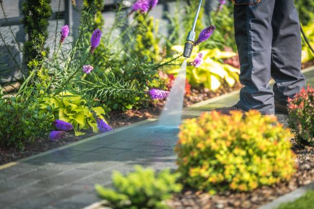Best Fence Cleaning  in Clinton, KY