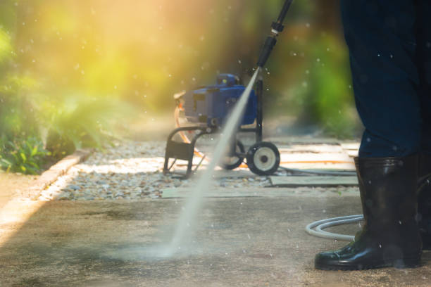 Animal Enclosure Cleaning in Clinton, KY